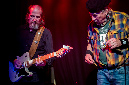 SunbearBlues_2020_16