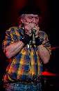 SunbearBlues_2020_20