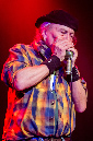 SunbearBlues_2020_23