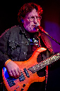 SunbearBlues_2020_26
