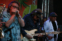 NCBrownBand_066