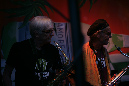 NCBrownBand_088