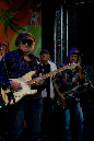 NCBrownBand_090-14